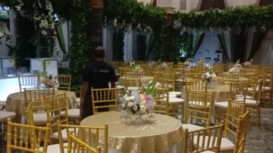 Sewa kursi Tiffany jakarta barat