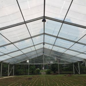 Tenda Transparan